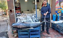 Diyarbakır Ergani’de 100 kiloluk dev orkinos şaşkınlığı