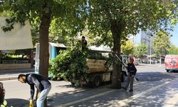 Diyarbakır'da Sonbahar hazırlığı