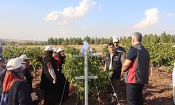 Diyarbakır’da uygulamalı üzüm hasat eğitimi