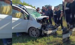 Diyarbakır'da otomobilin motor kısmında doğan kedi yavruları kurtarıldı