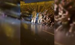 Diyarbakır’da otomobil kerestelerin arasına daldı: 2 yaralı