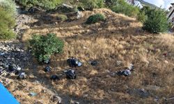 Diyarbakır'da tarihi köprünün etrafı çöplerle doldu
