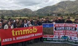 Diyarbakır Kulp’taki GES projesine tepki: Cixsê’nin doğası, suyu korunmalıdır