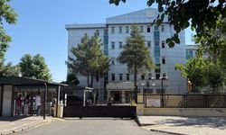 Narin Güran davasında yargılamaya devam kararı
