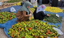 Diyarbakır’da pazar aramak artık çok daha kolay