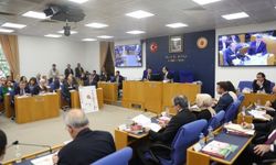 DEM Partili Tiryaki: Belediyelere faizin üçte ikisinden az ayrılıyor