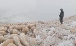 Tunceli'de yüksek kesimlere kar yağdı