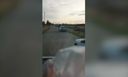 Köpeği hareket halindeki araca bağlayan sürücü gözaltında