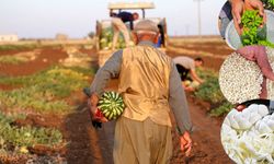 Diyarbakır coğrafi işarette Türkiye’de kaçıncı sırada?