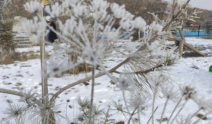 Ardahan'da Sibirya soğukları