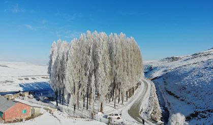 Kars dondu!