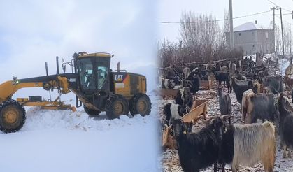 Muş’ta kar yağışı 15 köy yolu ulaşıma kapattı
