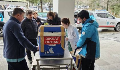 Beyin ölümü gerçekleşen gencin organları 5 kişiye umut olacak