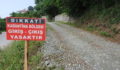 8 köyde şap karantinası