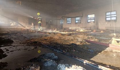 Tavuk üretim tesisinde çıkan yangında binlerce civciv telef oldu
