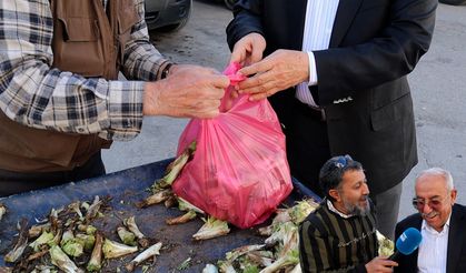 Diyarbakır’a ithal kenger