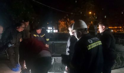 Süs havuzundaki facia, işletme sahibi gözaltına alındı