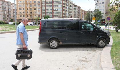 Kediyi veterinere yetiştirmek isterken ceza yedi