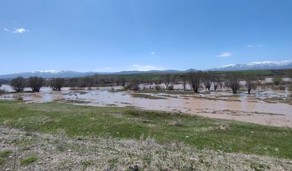 Ağrı'da yağmur felaketi; Murat Nehri taştı
