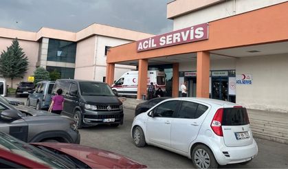 Iğdır'da 73 yaşındaki kişi iki yengesini öldürdü