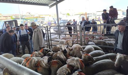 Kurbanlıklarda pazarlıklar kızıştı