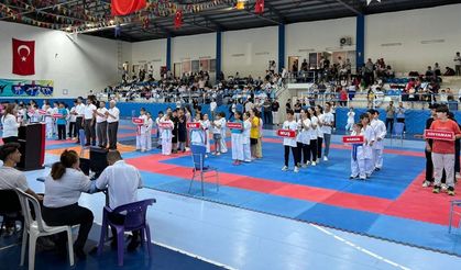 Diyarbakır'ın Çermik ilçesinde “Bölge Karate Turnuvası" başladı