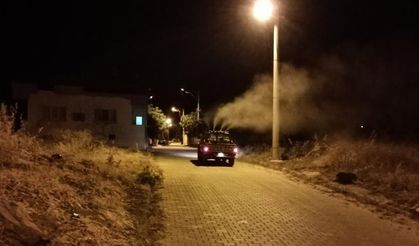 ‘Sinek timi' işbaşında