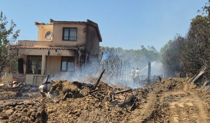Tekirdağ'da 100 dönüm alan kül oldu, yangın evlere sıçradı