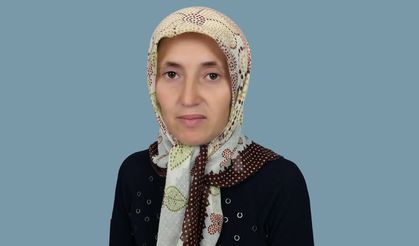 Üzüm yaprağı toplarken hayatını kaybetti