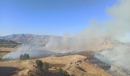 Diyarbakır’ın Çüngüş ilçesinde Mirgan Yaylası yanıyor!