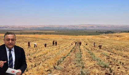CHP'li Tanrıkulu, Silvan Ovası'nı Meclis'e taşıdı
