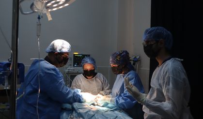 Diyarbakır’dan dünyaya örnek hastane