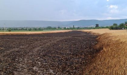 Ekili araziye yıldırım düştü. 8 ton buğdayı kül etti