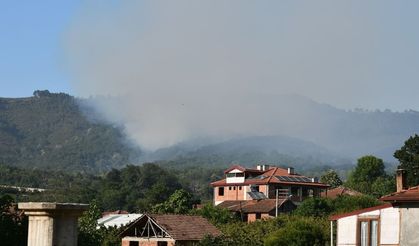 Sakarya Hendek’ten iyi haber: Orman yangını kontrol altına alındı
