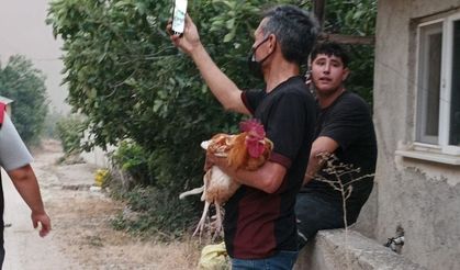 Alevler yaklaşınca horozunu da alıp köyü terketti