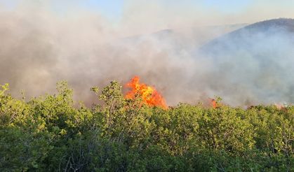 Manisa'daki yangın Uşak'a ilerliyor, köyler tahliye edilecek
