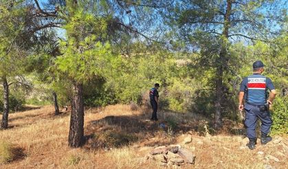 Ormanlara giren ve ateş yakanlara ceza yağdı