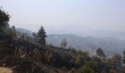 Maraş’ta orman yangını: 4 ev yandı, 20 ev tahliye edildi