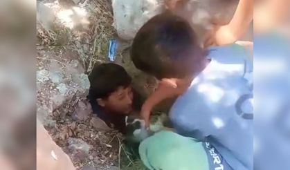 Patnoslu çocuk, yavru kedi için seferber oldu