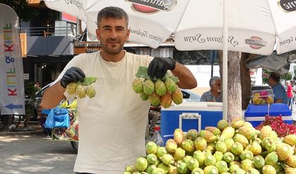 Şifa deposu dikenli incir tezgahlarda yerini aldı
