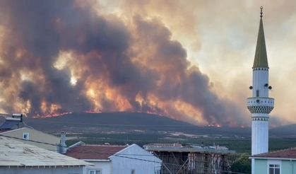 Tekirdağ'daki orman yangını evlere sıçradı: 2 mahalle tahliye edildi