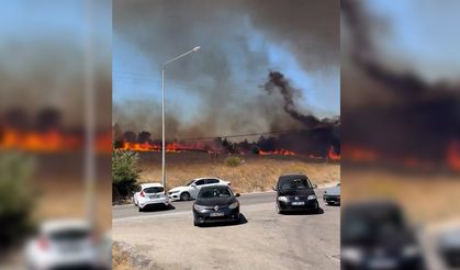 Çanakkale'de orman yangını, havadan ve karadan müdahale başladı