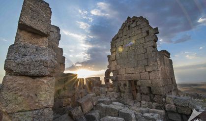 Diyarbakır’ın saklı hazinesi: Çınar