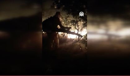 SON DAKİKA.. Diyarbakır Silvan’da orman yangını: Müdahale sürüyor