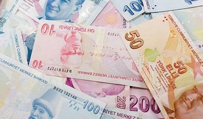 Günlük 1000 liradan fazla ödenecek! İşi olmayan herkesin başvurması gerek!