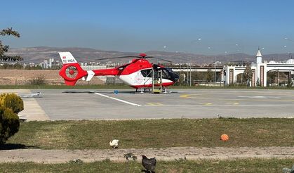 Ormanda hayvanlarını arayan kadına ayı saldırdı