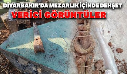 Diyarbakır’da mezarlık içinde dehşet verici görüntüler