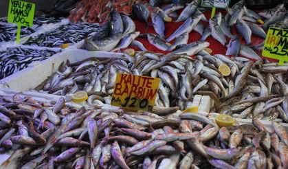 Hamsi bolluğu fiyatları düşürdü: Tavuktan daha ucuz
