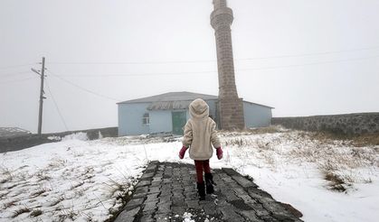 Kars ve Ardahan yüksek kesimlerine kar yağdı