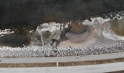 Van Gölü'nde korkutan manzara, uzman isimden uyarı geldi